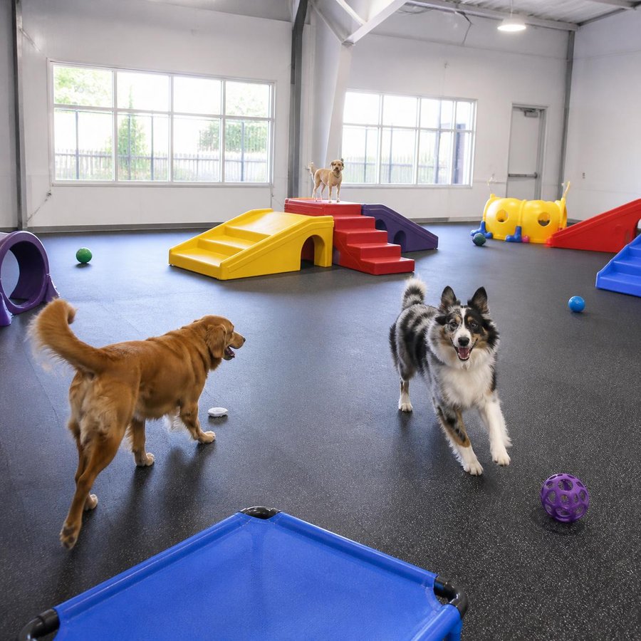Indoor play yard with rubber flooring